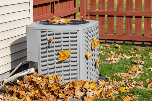 Best Air Filters and Purifiers in Clinton, WA
